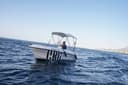 Compass 135 SD